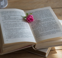 The Pink Posy Guide to Writing Romance by Fiona and David Barker (image by Anna Sulencka)